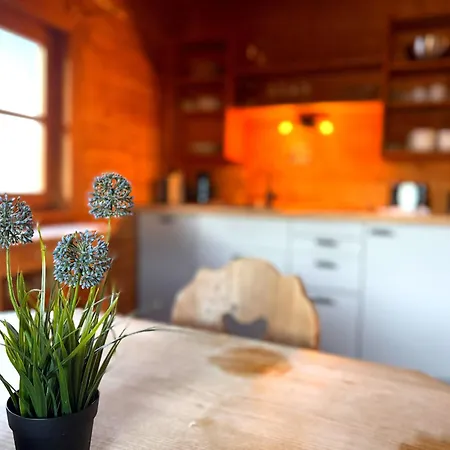 Ruhige Mit Seeblick In Zentraler Lage Mit Frisch Renovierter Kueche Chalet